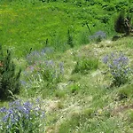 Holidays ホテル 3*